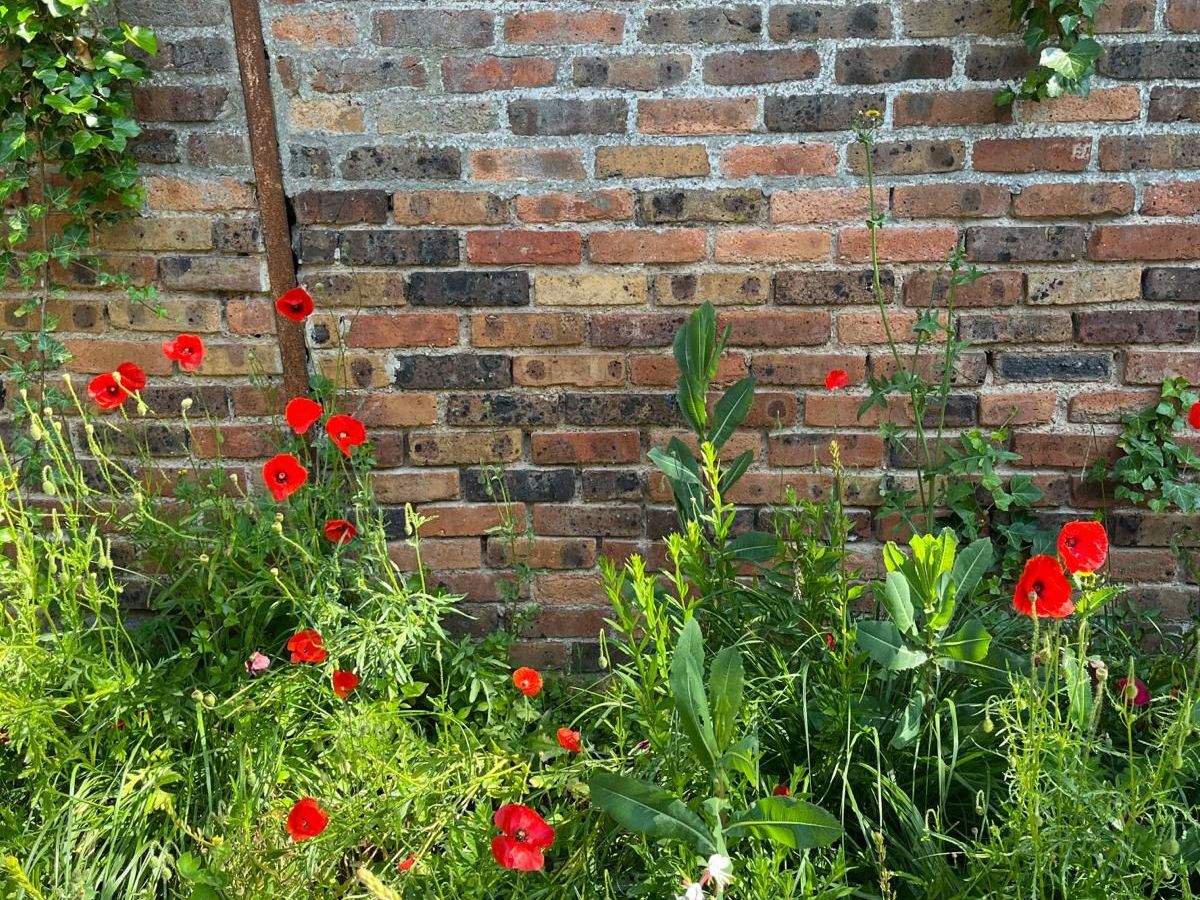 La transition vue par les candidats aux municipales 2026 de Fontenay-aux-Roses